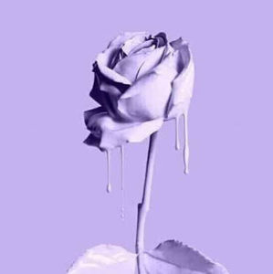 Meet your Posher, Isaac